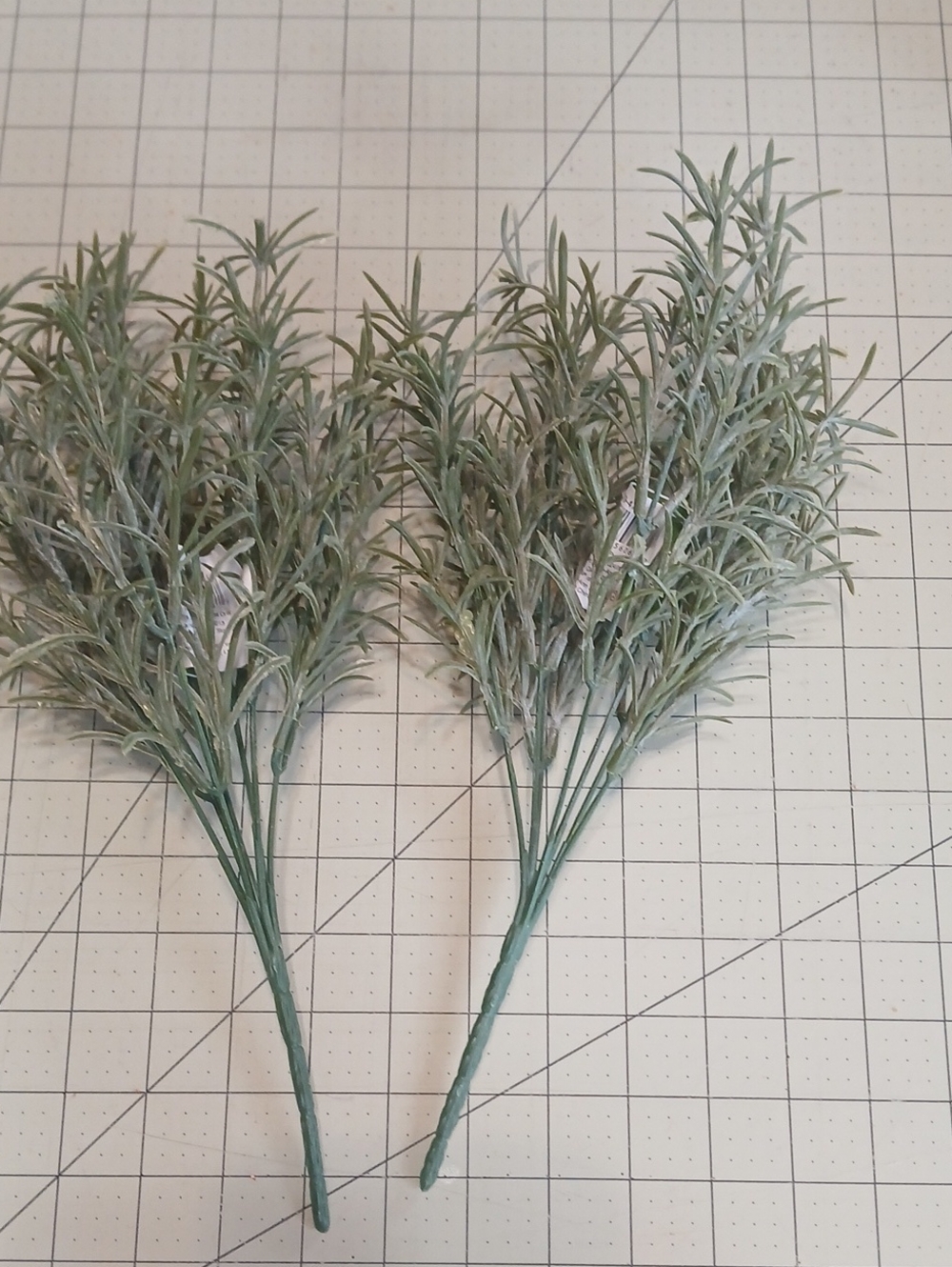 Eucalyptus Bush - Set Of 2